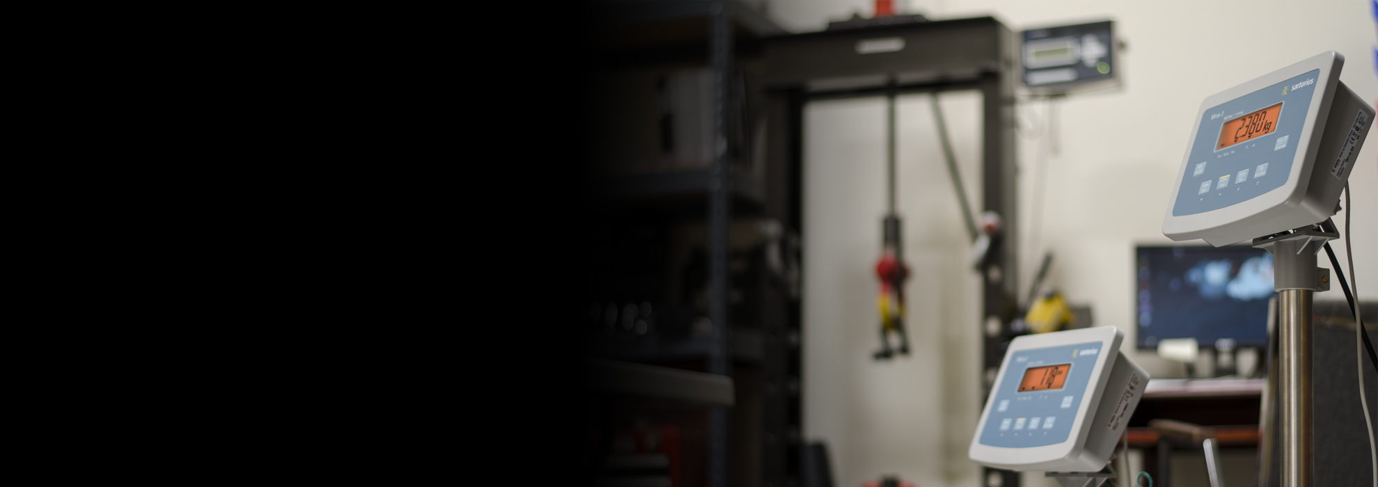 Aspects Regarding Industrial Scales