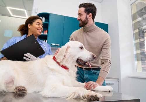 Top Reasons Every Veterinary Clinic Needs a Reliable Veterinary Floor Scale