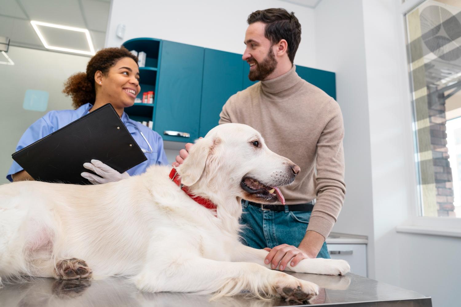 veterinary floor scale