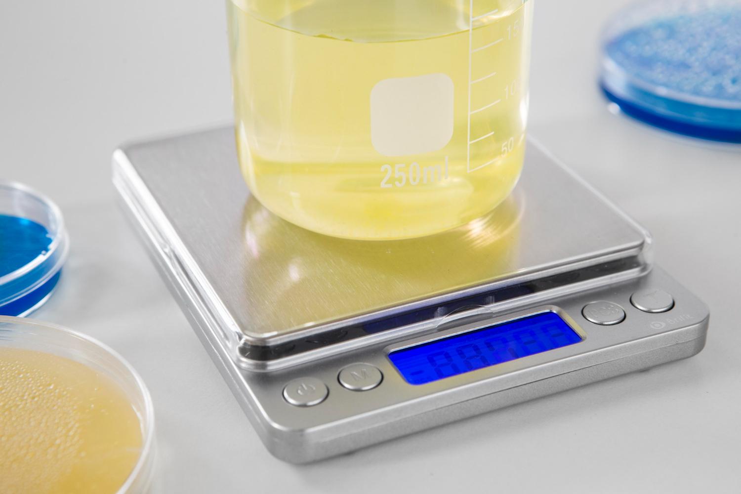 Industrial Digital Scales